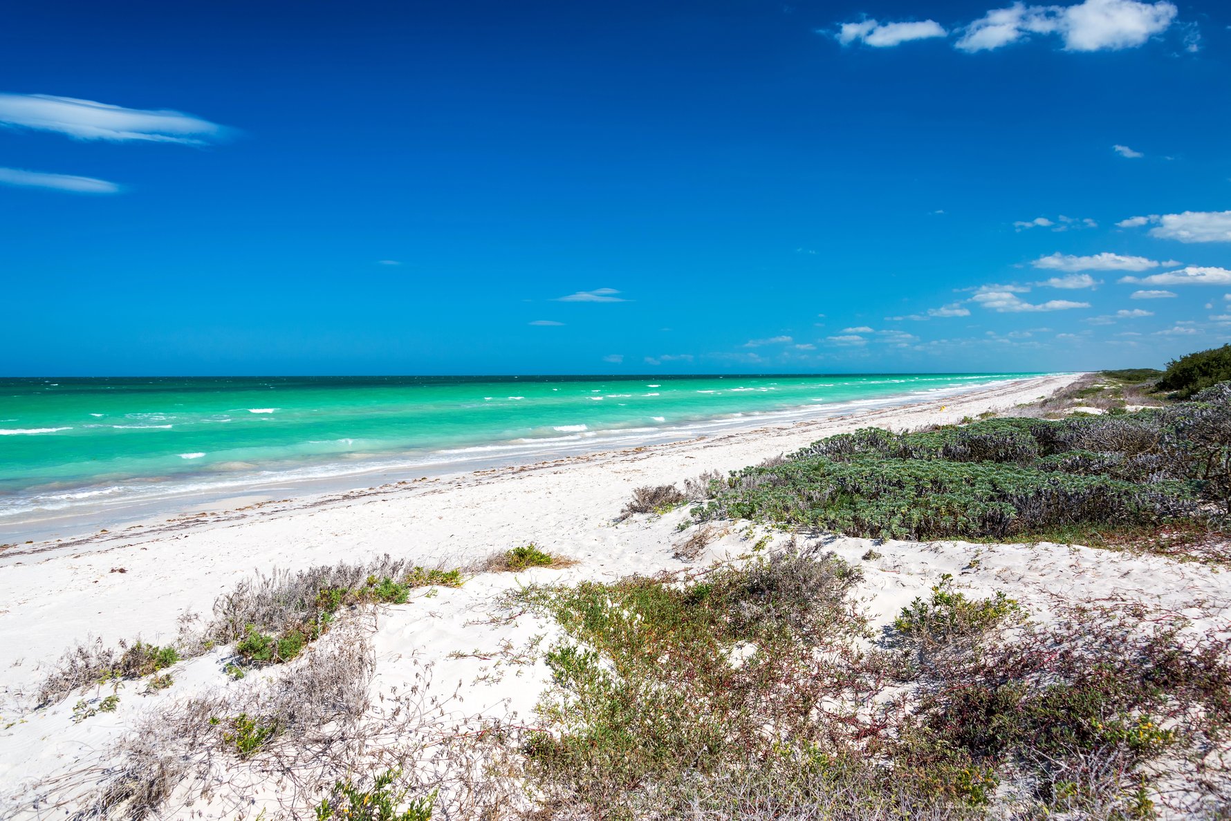 Top 10 de playas cercanas a Mérida, Yucatán
