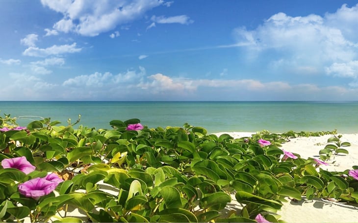 casas-en-venta-en-merida-playas-yucatan